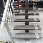 scara vang central (43)
